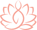 shapeupstudio